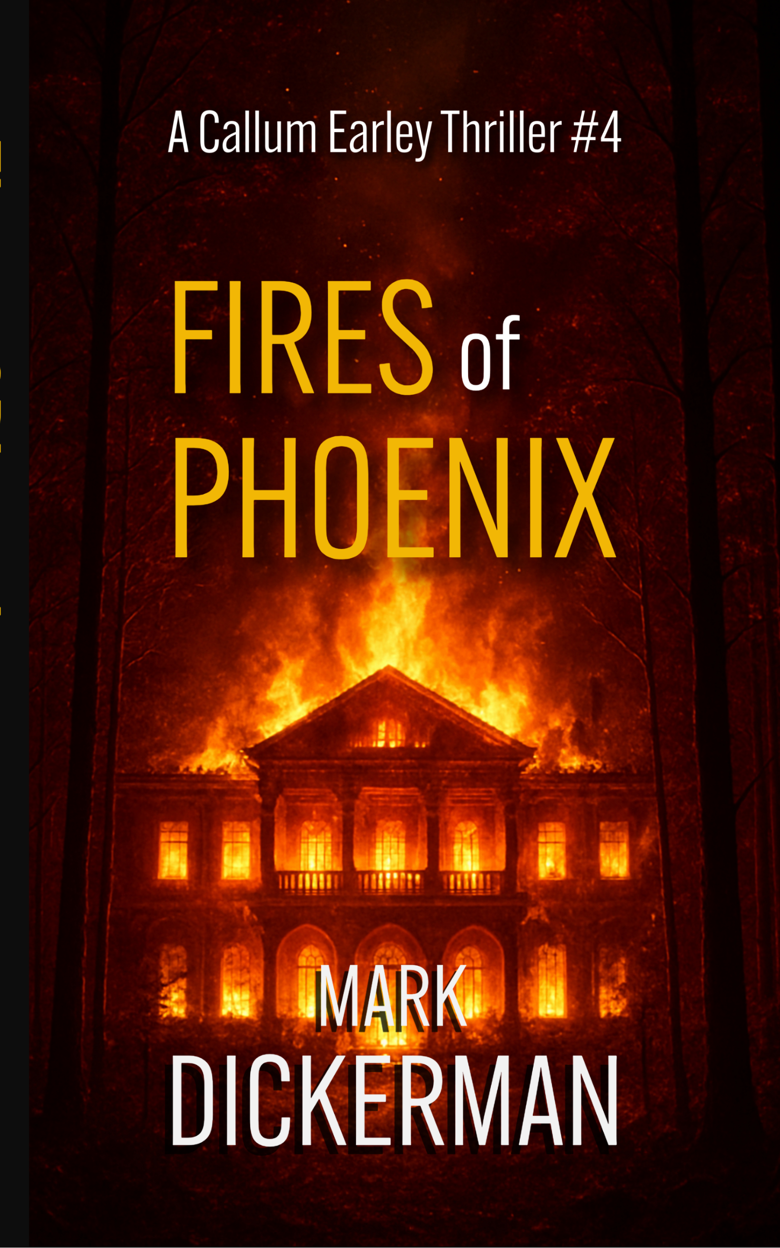 phoenix ebook cover 7 11