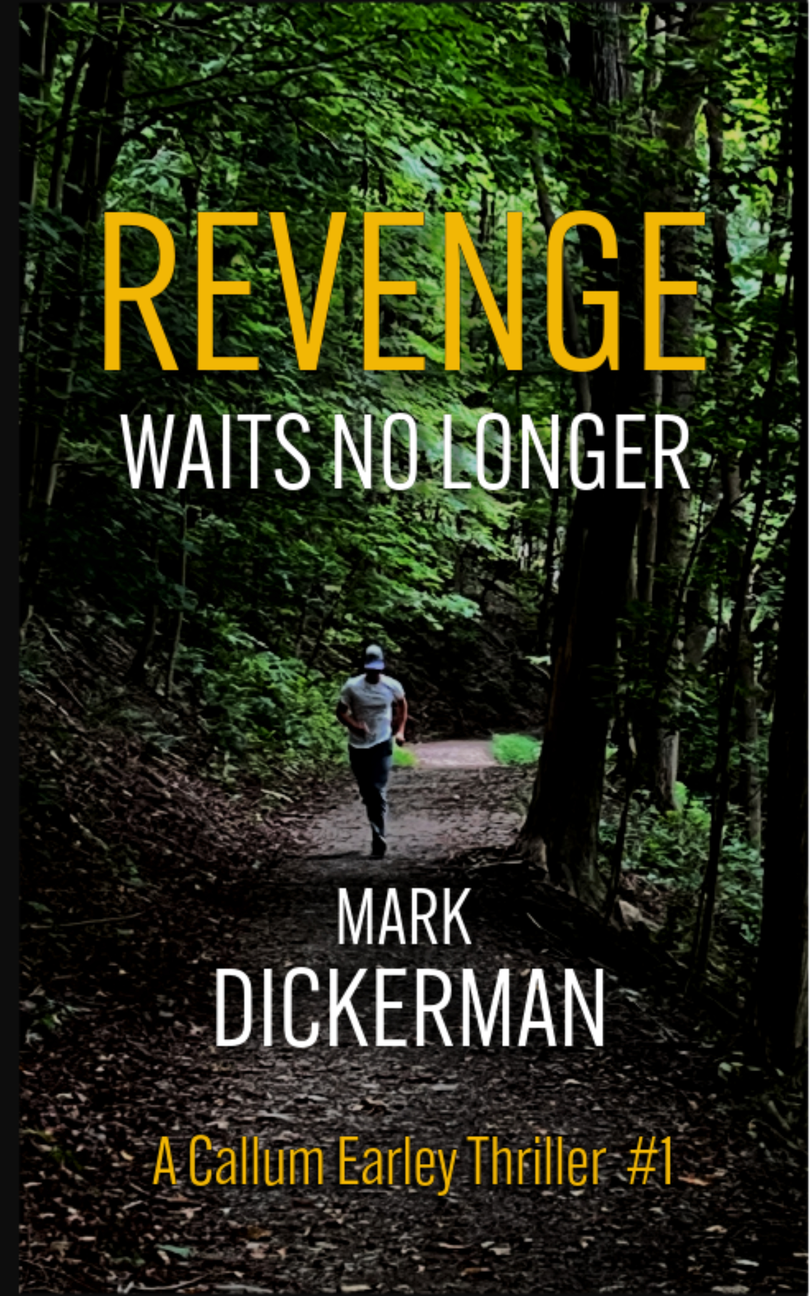 revenge ebook cover 7 11